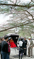 Person in Cart with Castle